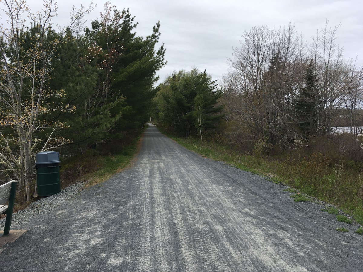 A gravel trail surrounded by greenery, but the trees don't have leaves yet.