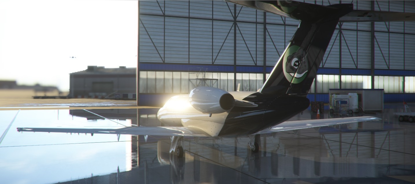 A jet with the Mirth Turtle logo on its tail sits in a hangar, gleaming in sunlight